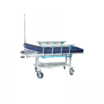 Camilla Traslado Paciente