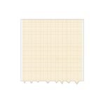 Papel Registro ECG 210 x 25 mes.